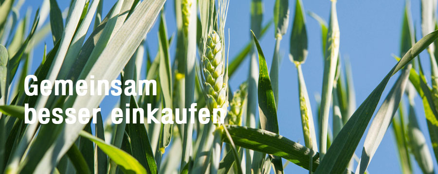Leistungen – EKP GmbH